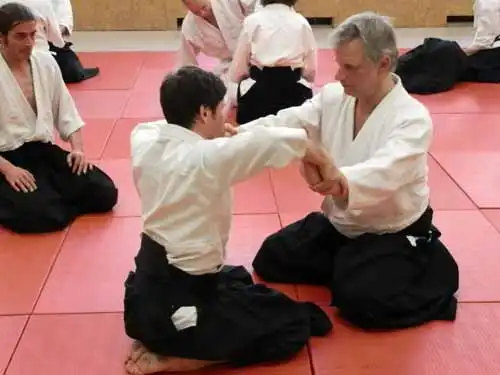 Aikido seminar in Berlin 2012.